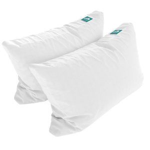 Sleepgram Bed Support Sleeping Pillow with Cover Standard Queen ( 2 Pack)